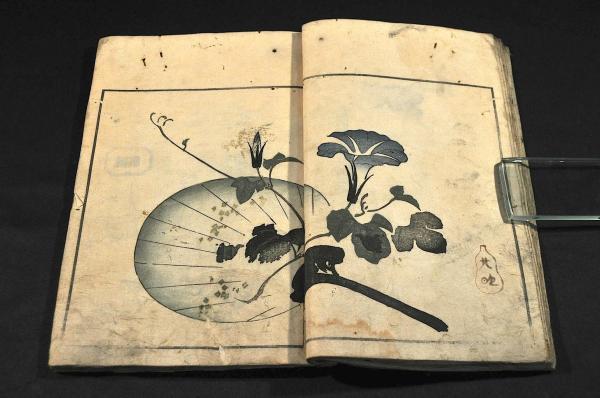 激レア】Apple ノベルティセット コレクターズアイテム マニア向け