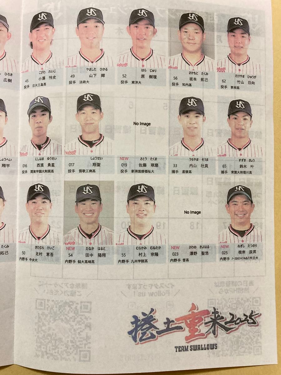 ヤクルト スワローズ 内山壮真 33 サイン 色紙 2025 西都キャンプ