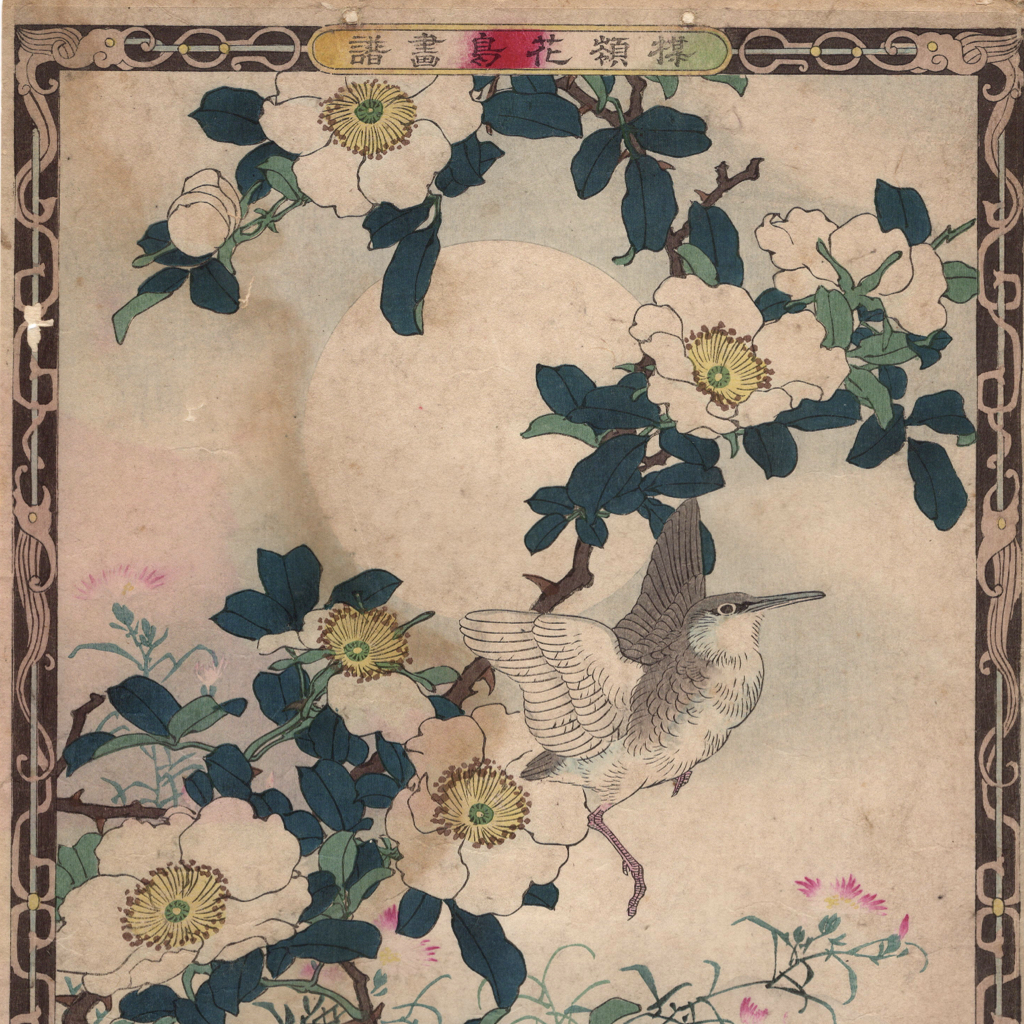 江戸屋版 媒嶺花鳥画譜第1編 27図 手作り古画修復 浮世絵風 真作