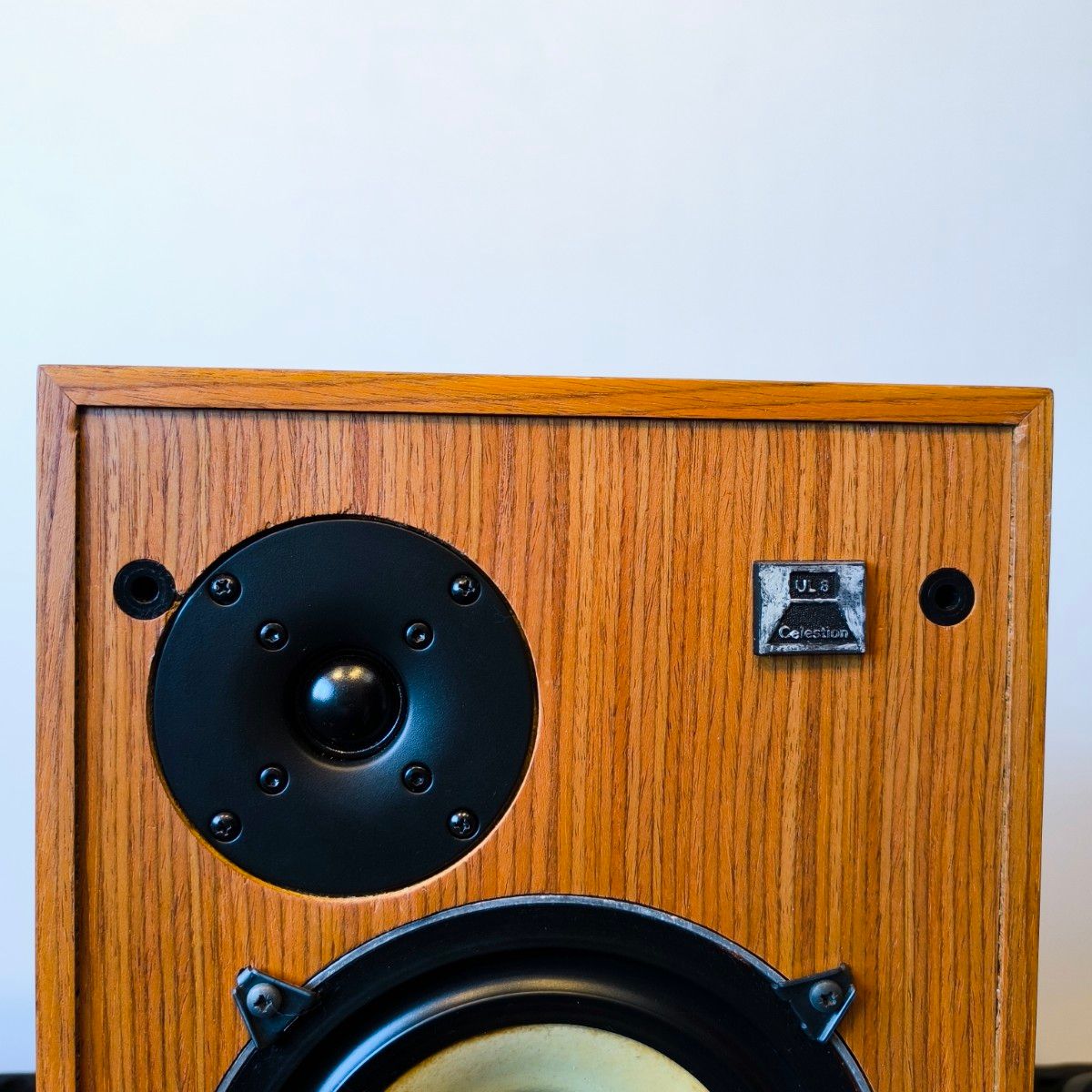 CELESTION UL8 スピーカーペア