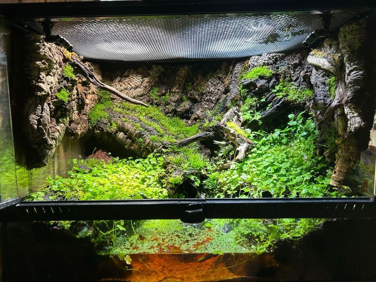 グラステラリウム 6045 エキゾテラ グラステラリウム 6045 (ハムスター