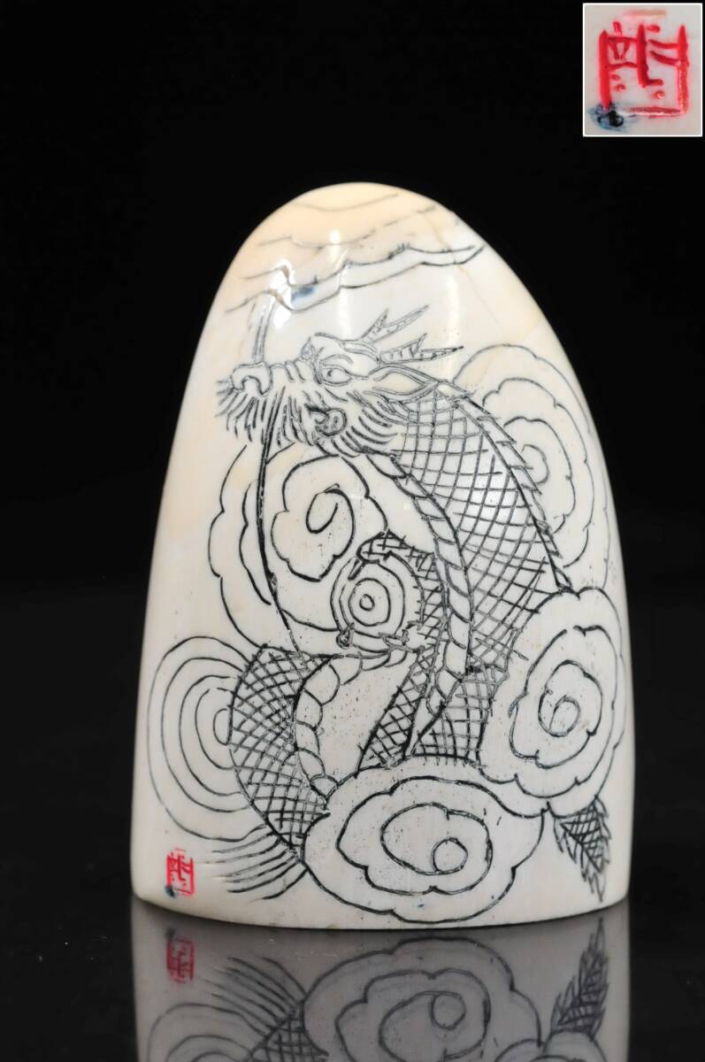 マッコウクジラ 歯 くじら 鯨 牙 抹香鯨 まとめ セット 986g /カ24