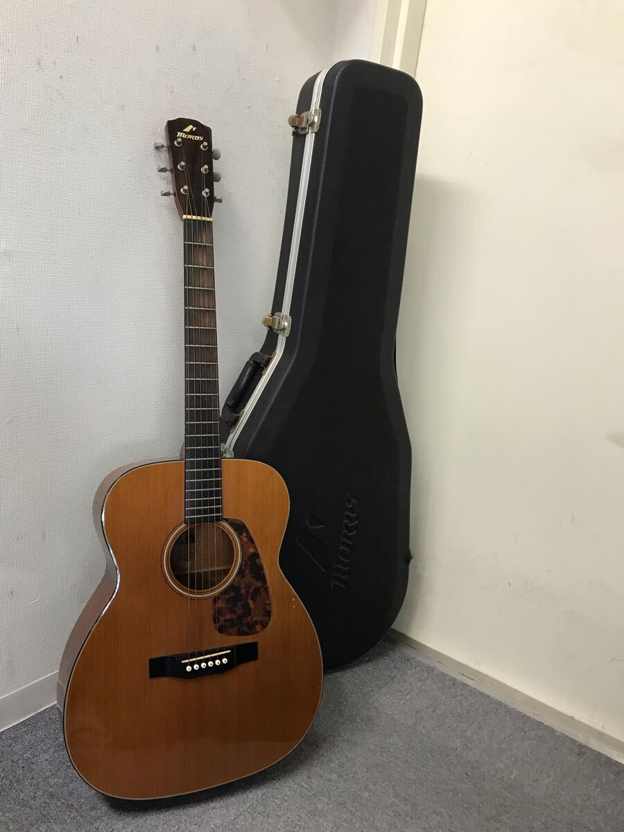Morris アコースティックギター WF808