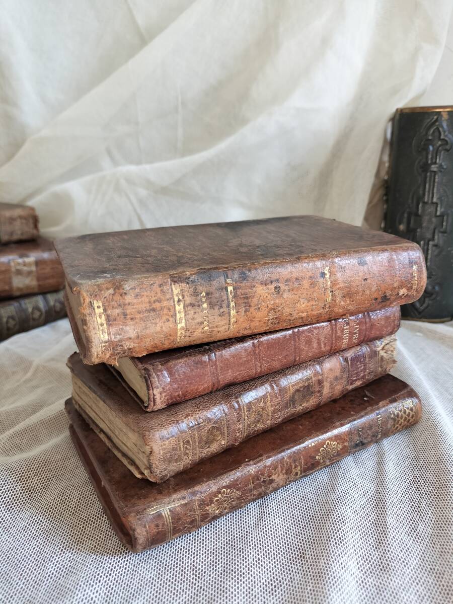 フランス アンティーク 洋書 18,19世紀 【公式通販】