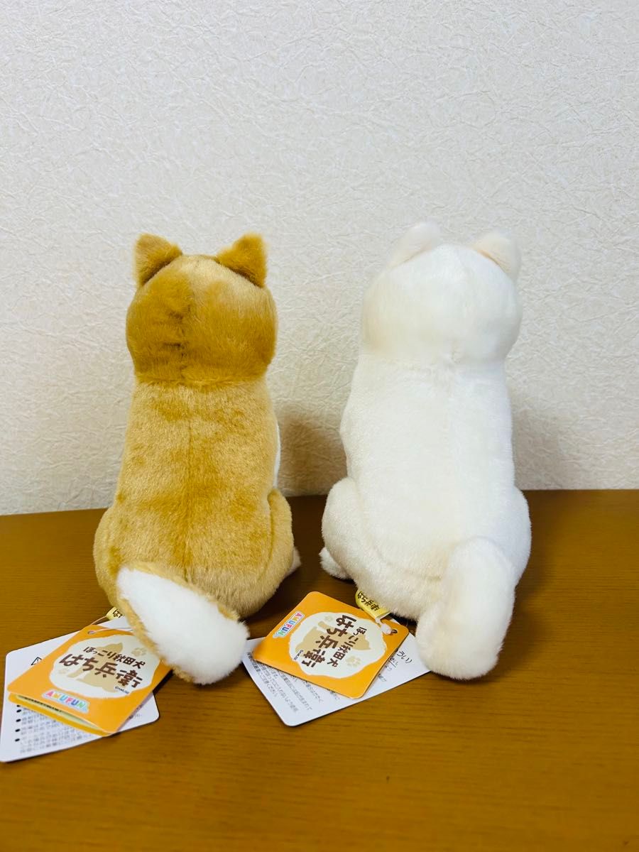 ほっこり秋田犬 はち兵衛 ぬいぐるみ 2つセット｜Yahoo!フリマ（旧