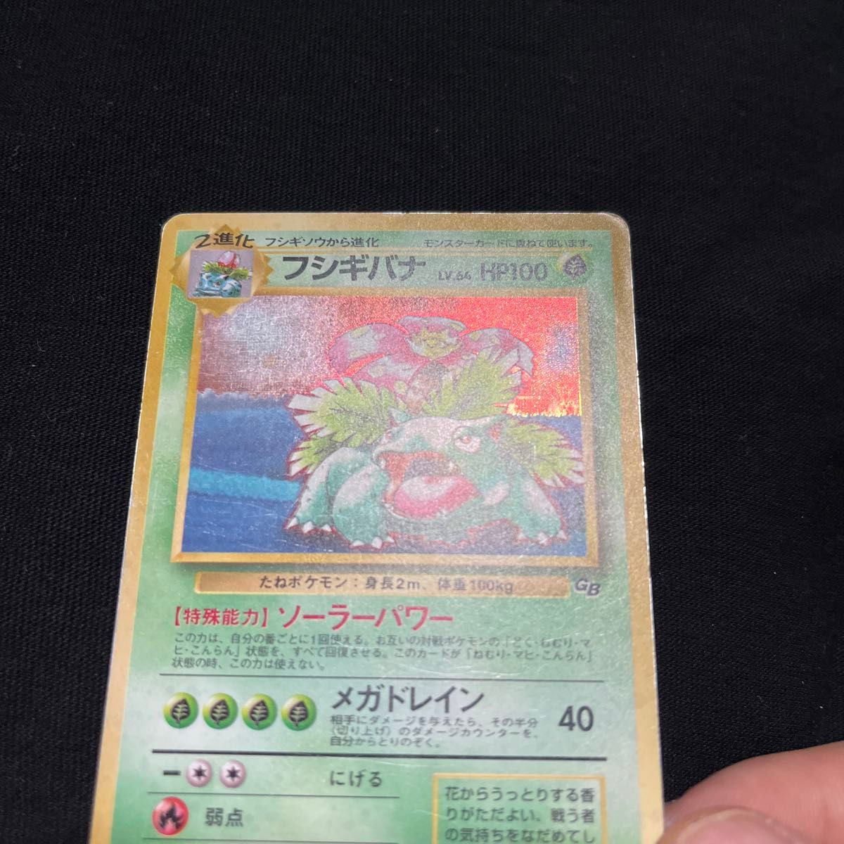 未開封 旧裏 プロモフシギバナ ポケモンカードGBオフィシャルガイド