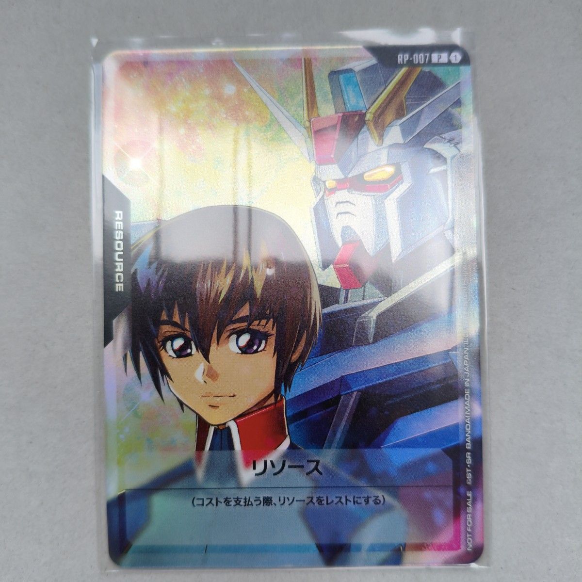 ガンダムカードゲーム リソース キラ・ヤマト&ストライクガンダム 10枚