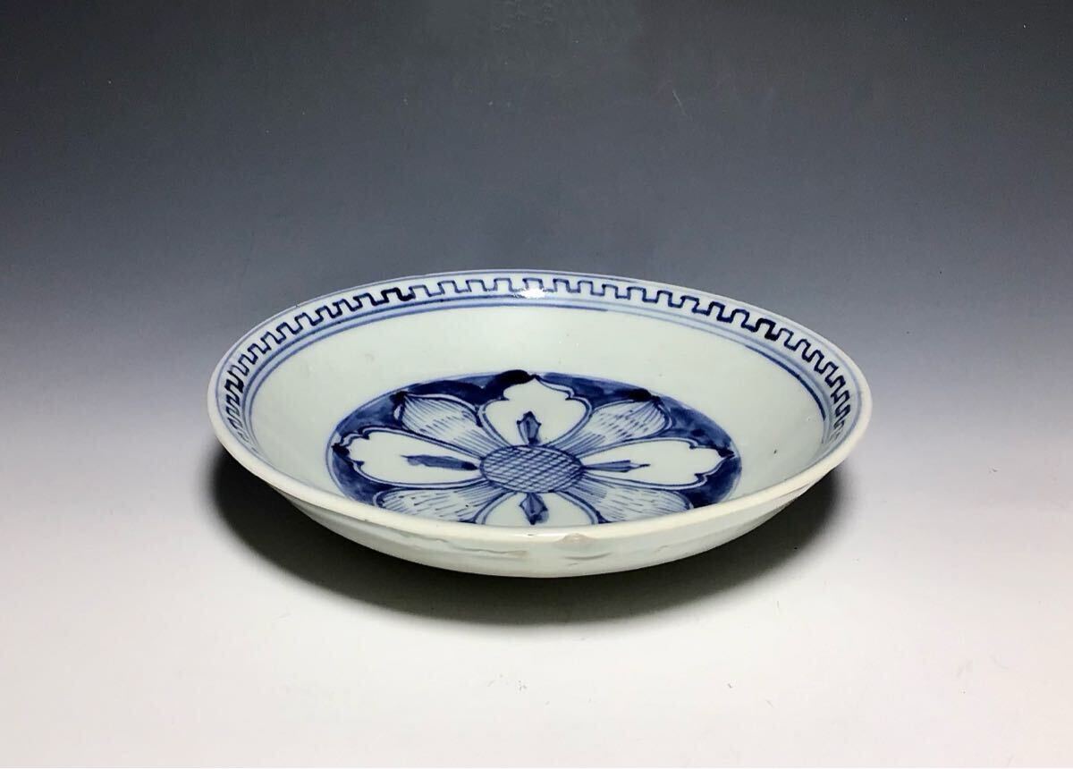 初期伊万里」花弁文小皿 初期伊万里」花弁文小皿 初期伊万里」花弁文