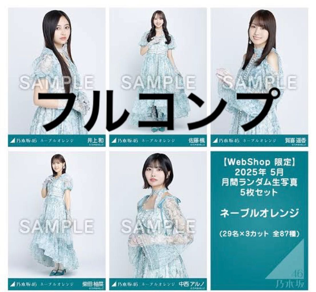 乃木坂46 生写真 ネーブルオレンジ 29名 フルコンプ 井上和 中西アルノ