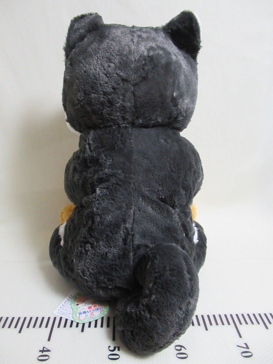 くったり柴犬 元気いっぱい くろりん JB くったり柴犬 元気いっぱい