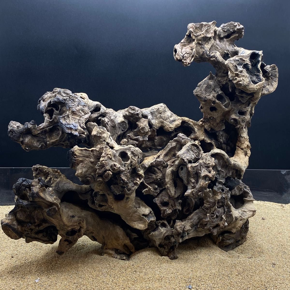 MJW-5874 ジンジャーウッド 3本セット 天然流木 アクアリウム