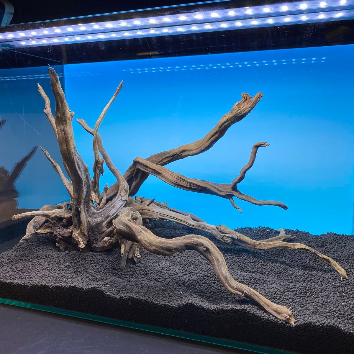 MSRW-6628天然流木 スリムウッド レイアウトセット アクアリウム