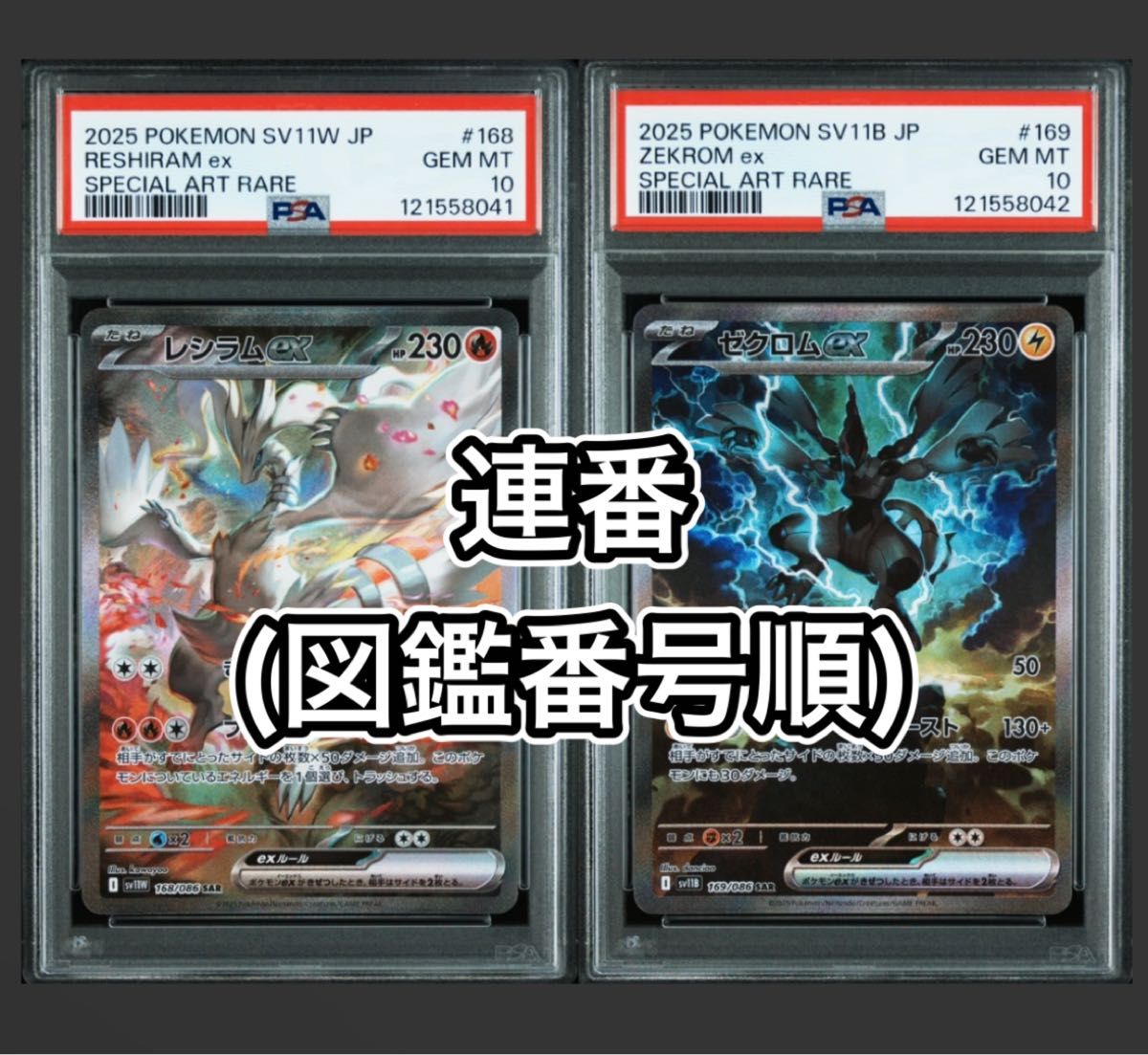 レシラム ゼクロムexSARセット ポケモンカード ゼクロムex sar