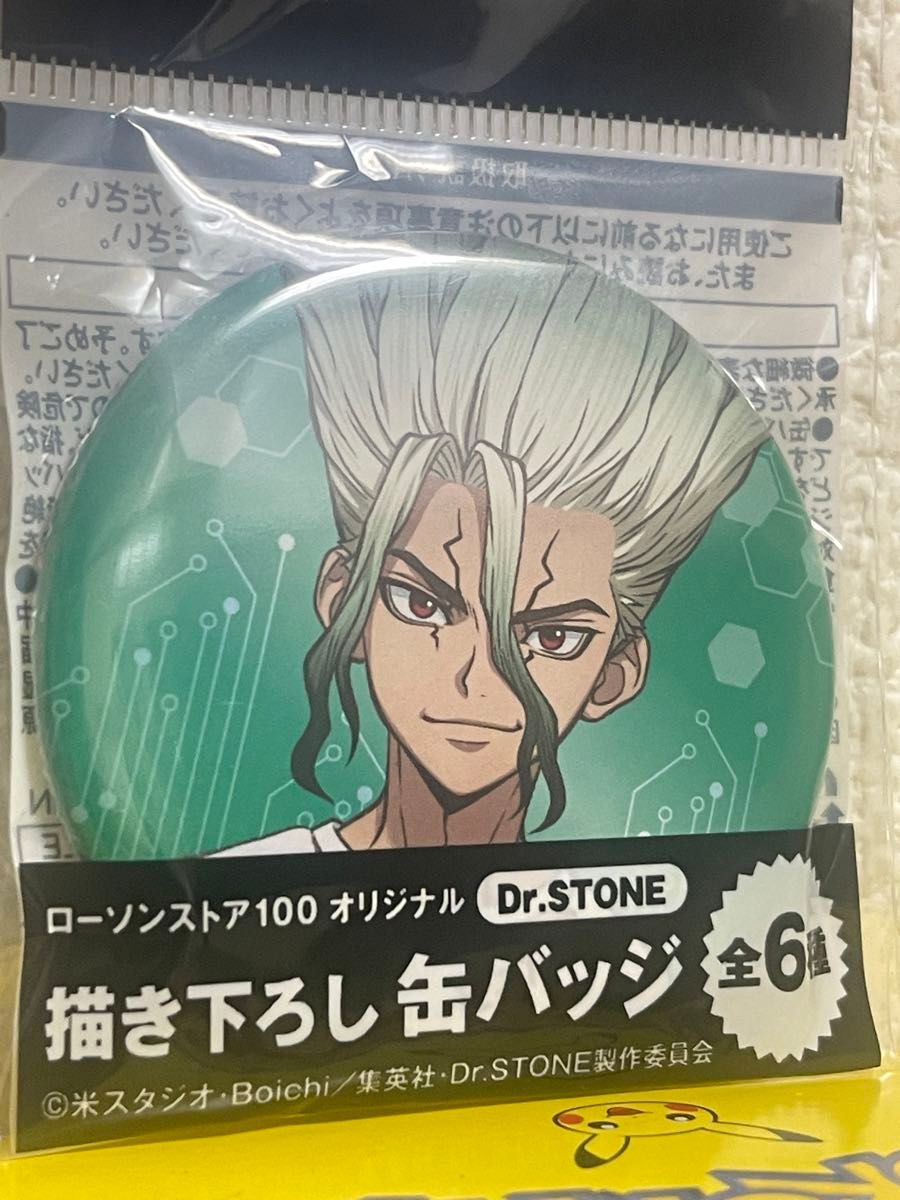 Dr STONE ローソンストア100 缶バッジ スタンリー 2個｜Yahoo!フリマ