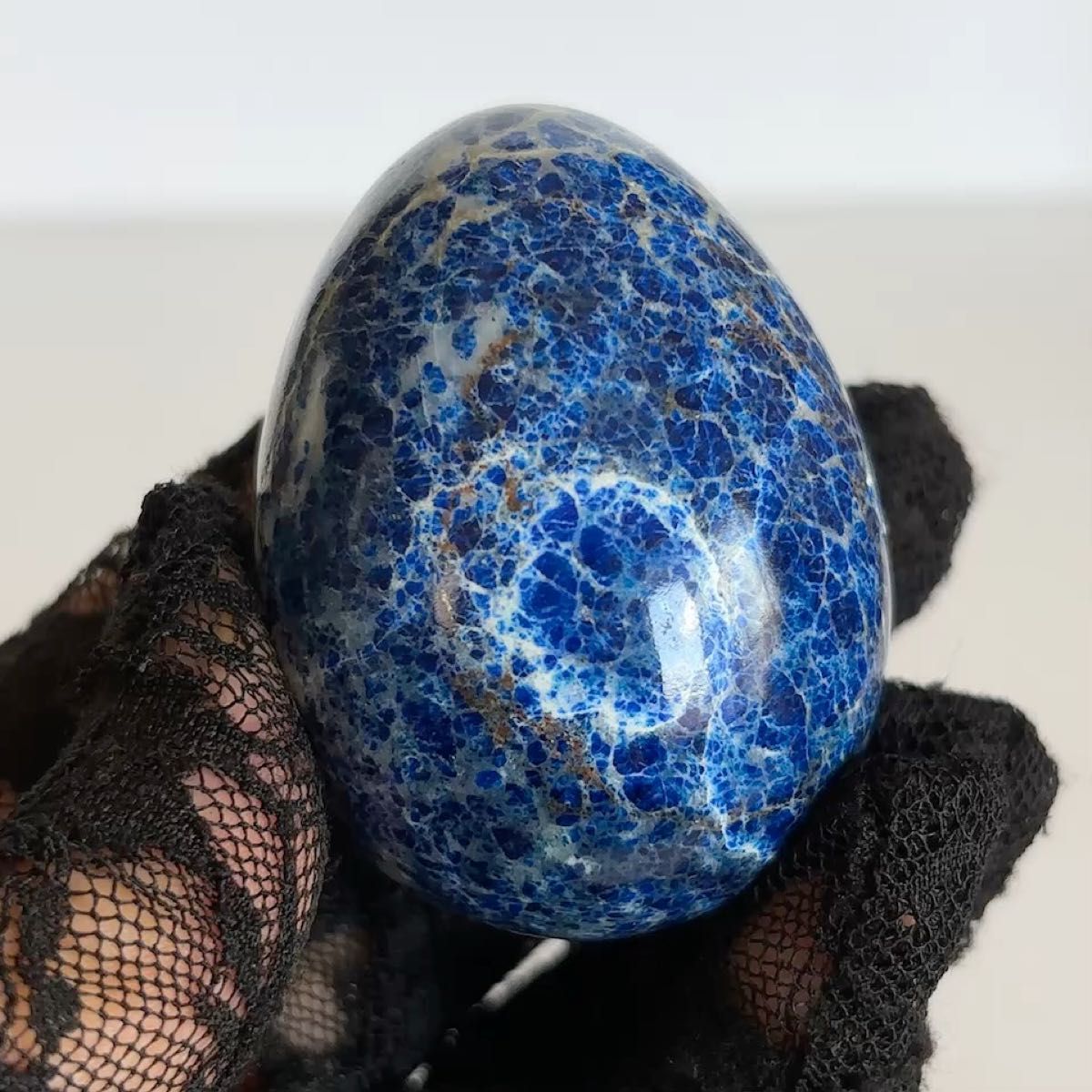 夜光貝 特大夜光貝 16x19cm 美品 置物 ピカピカ ツルツル 色合いが綺麗