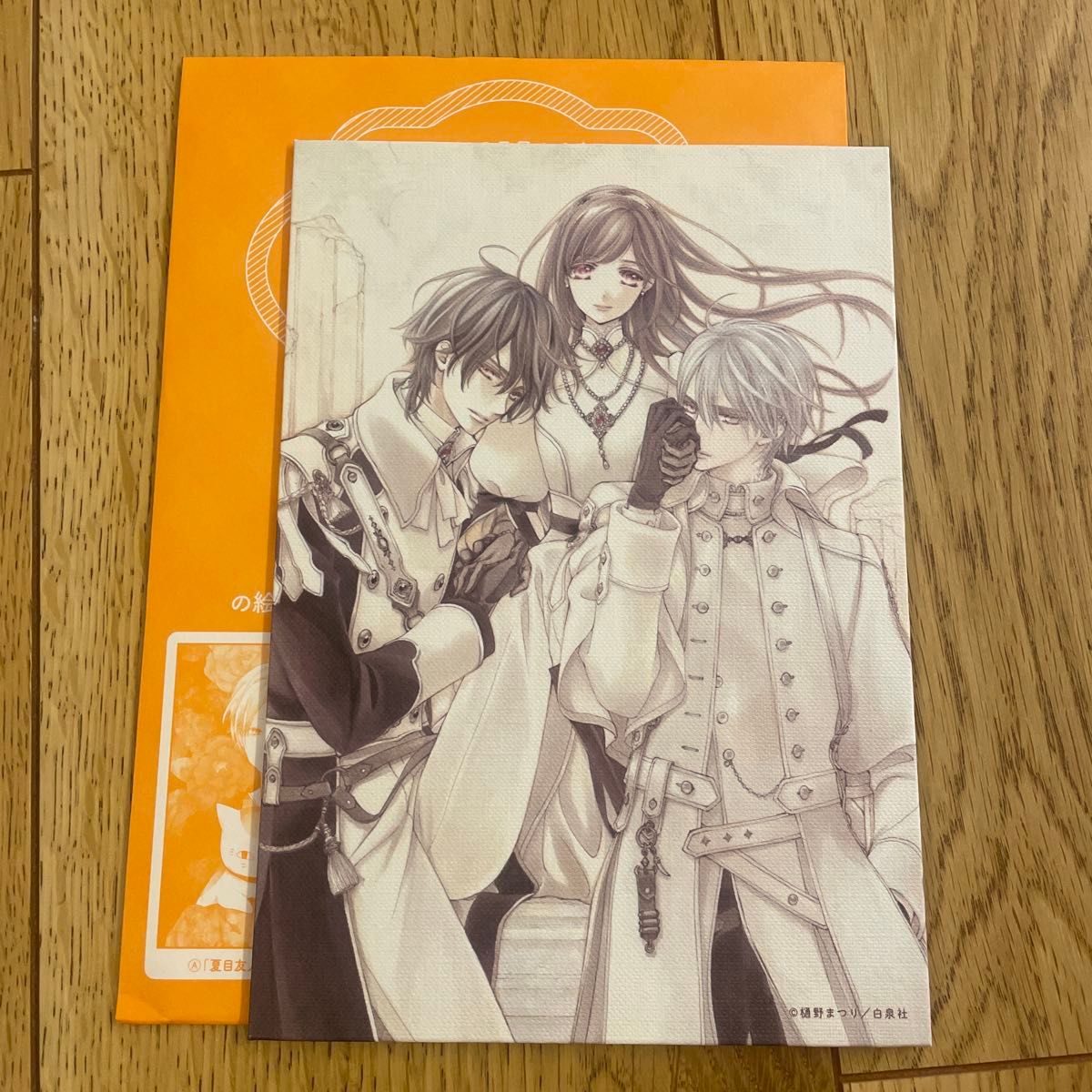 ヴァンパイア騎士 限定 デビュー25周年 樋野まつり原画展 キャンバスC