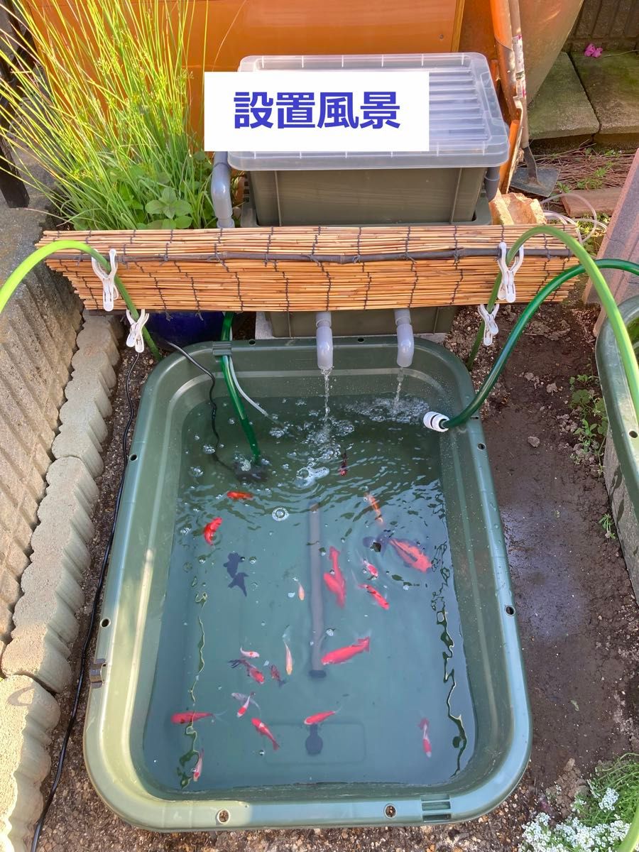 DIY】三段式外部ろ過装置（個人製作濾過装置）【メダカ・金魚・錦鯉の