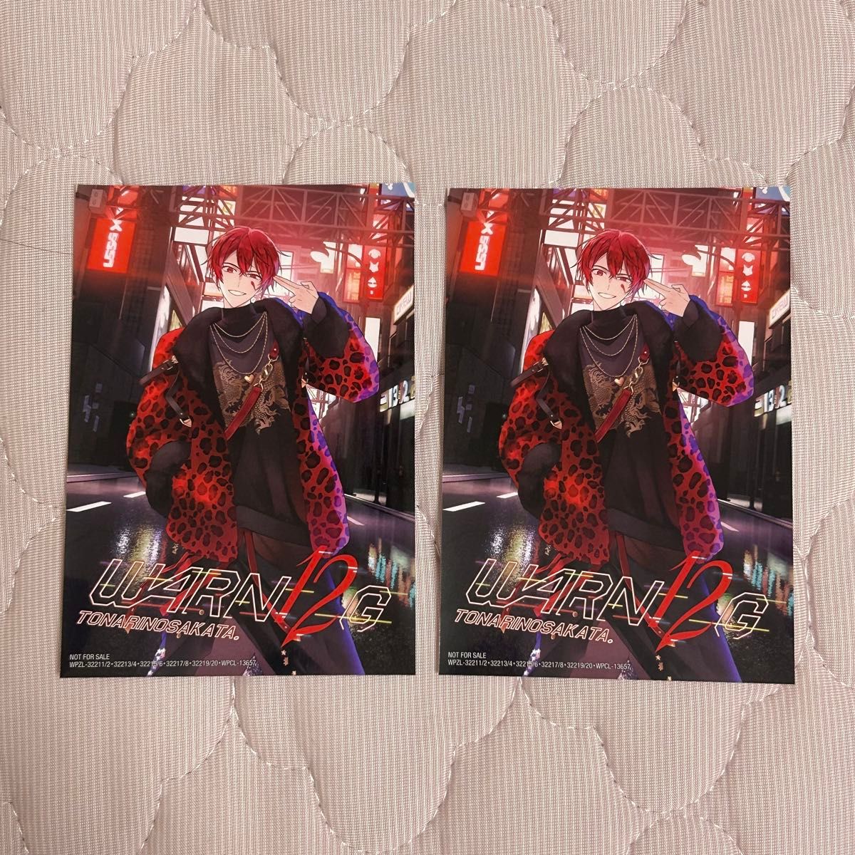 浦島坂田船 WARN12G フォトカ 【14枚セット】 浦島坂田船 フォトカード