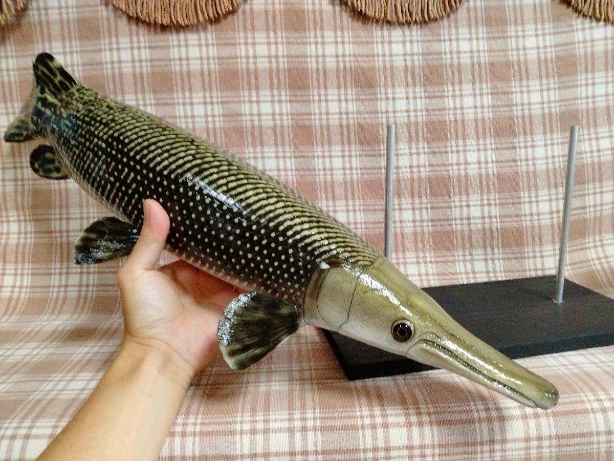 ハンドメイド 61cmアリゲーターガー フィギュア レプリカ インテリア