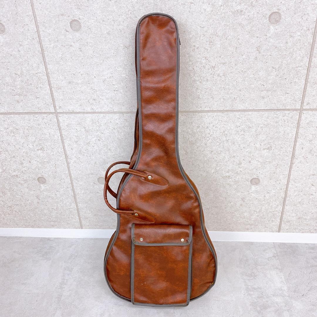 Aria Pro II TA-550 セミアコースティックギター／ソフトケース付