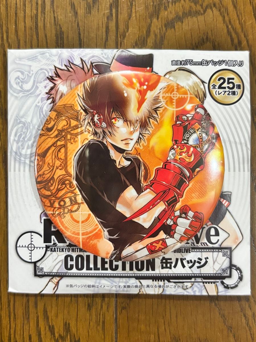 家庭教師ヒットマンREBORN デコレクション缶バッジ 沢田綱吉 ツナ 家庭