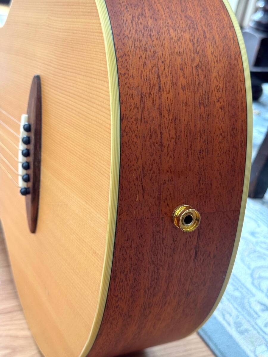 3.9万Airデュアルピックアップシステム付き】aNueNueアヌエヌエ M1 3.9