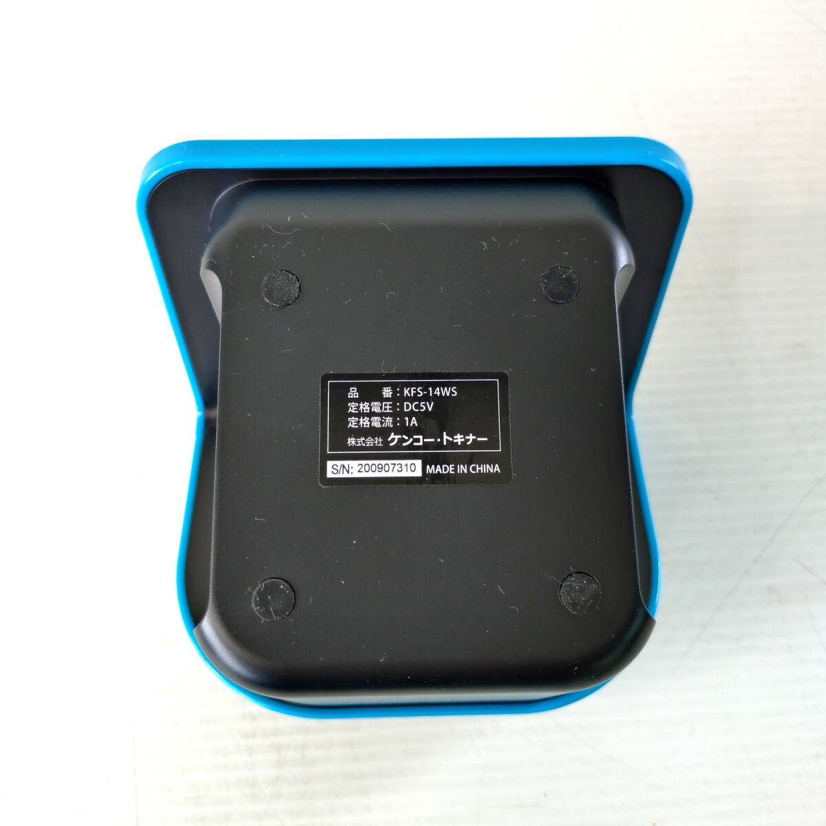 Armand Miravalls Boveダリア➕他画家金額縁