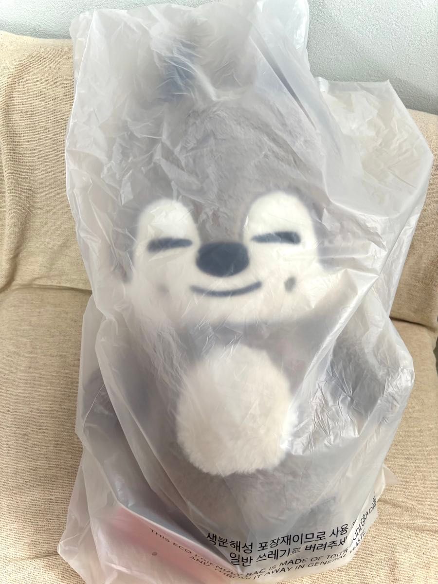 straykids skzoo テディベア ハン straykids スキズ スキズー 韓国