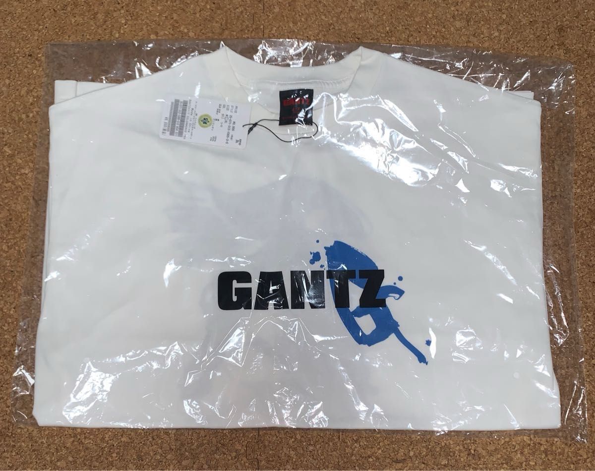 GANTZ / ガンツ 417エディフィス 別注 COLOR WORKS REIKA Tシャツ L