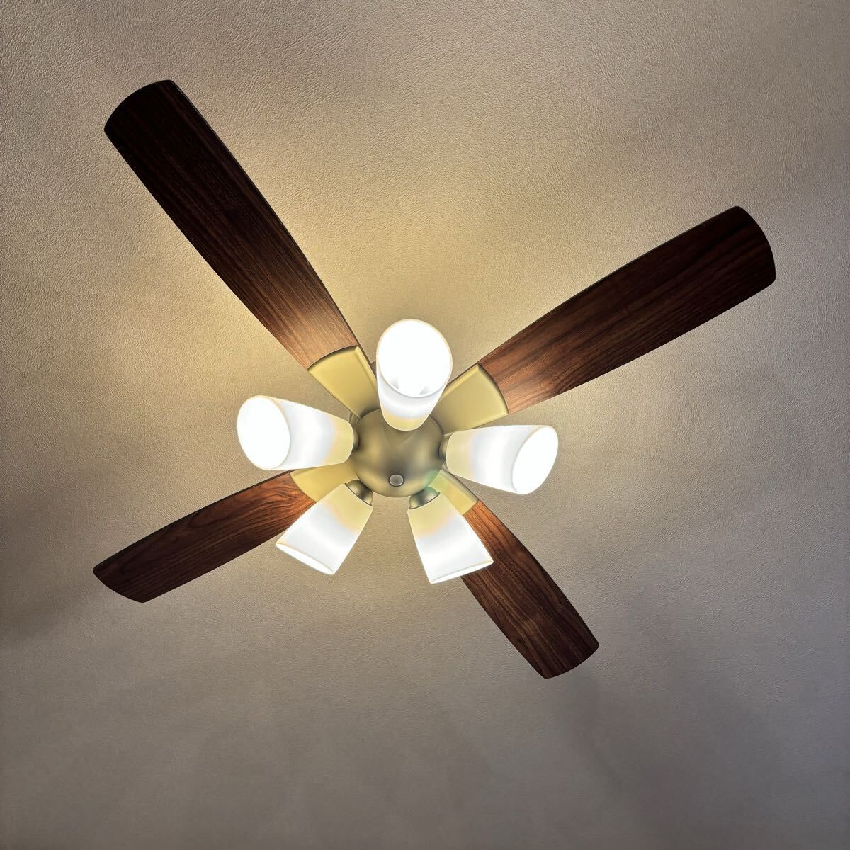 大光電機 シーリングファン CSF-570 5灯 リモコン付 2024年版 DAIKO