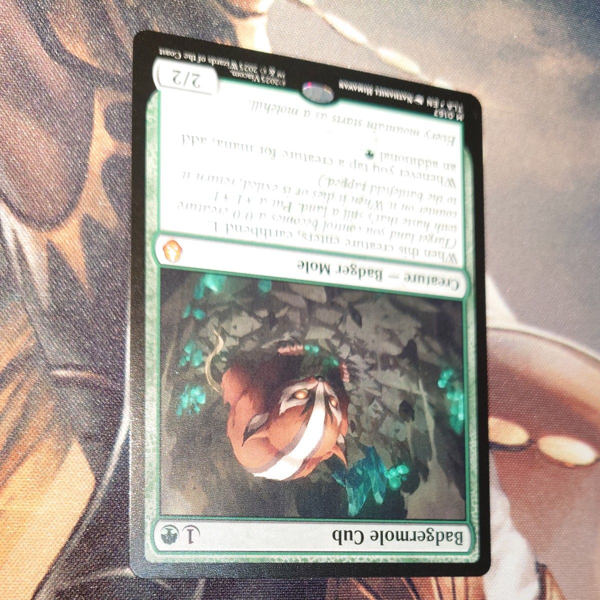 MTG アナグマモグラの仔 / Badgermole Cub 英語｜Yahoo!フリマ（旧