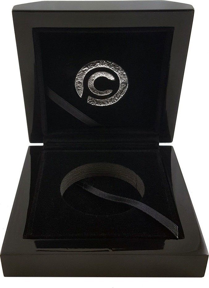 2019年 パラオ レダと白鳥 10ドル 2オンス ブラックプルーフ 銀貨 永遠