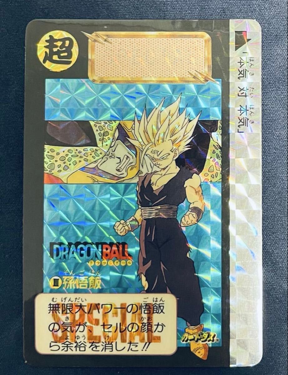 ドラゴンボール カードダス めちゃんこプロジェクト Ⅹ 孫悟飯