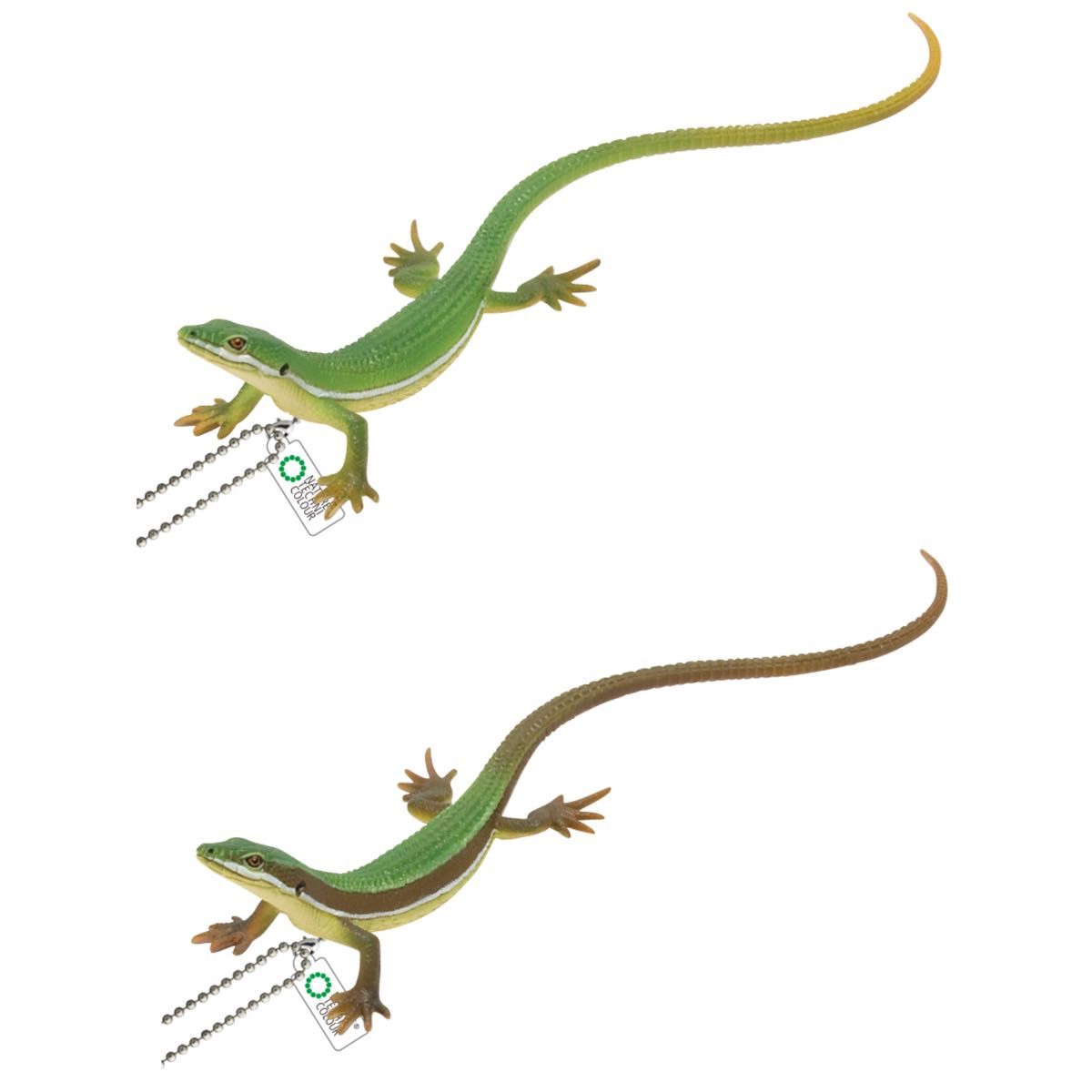 トカゲさん専用 とかげさん専用【爬虫類/ゲージ】パンテオンセット