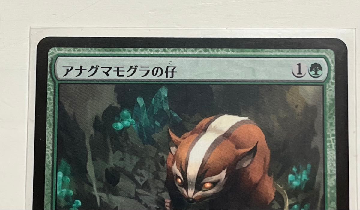 MTG アバター:伝説の少年アン アナグマモグラの仔 日本語 アナグマ