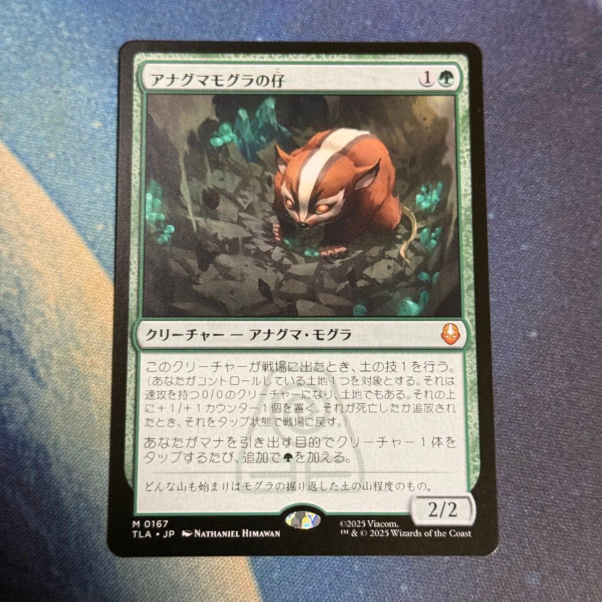 MTG アナグマモグラの仔 日本語 カード詳細：アナグマモグラの仔