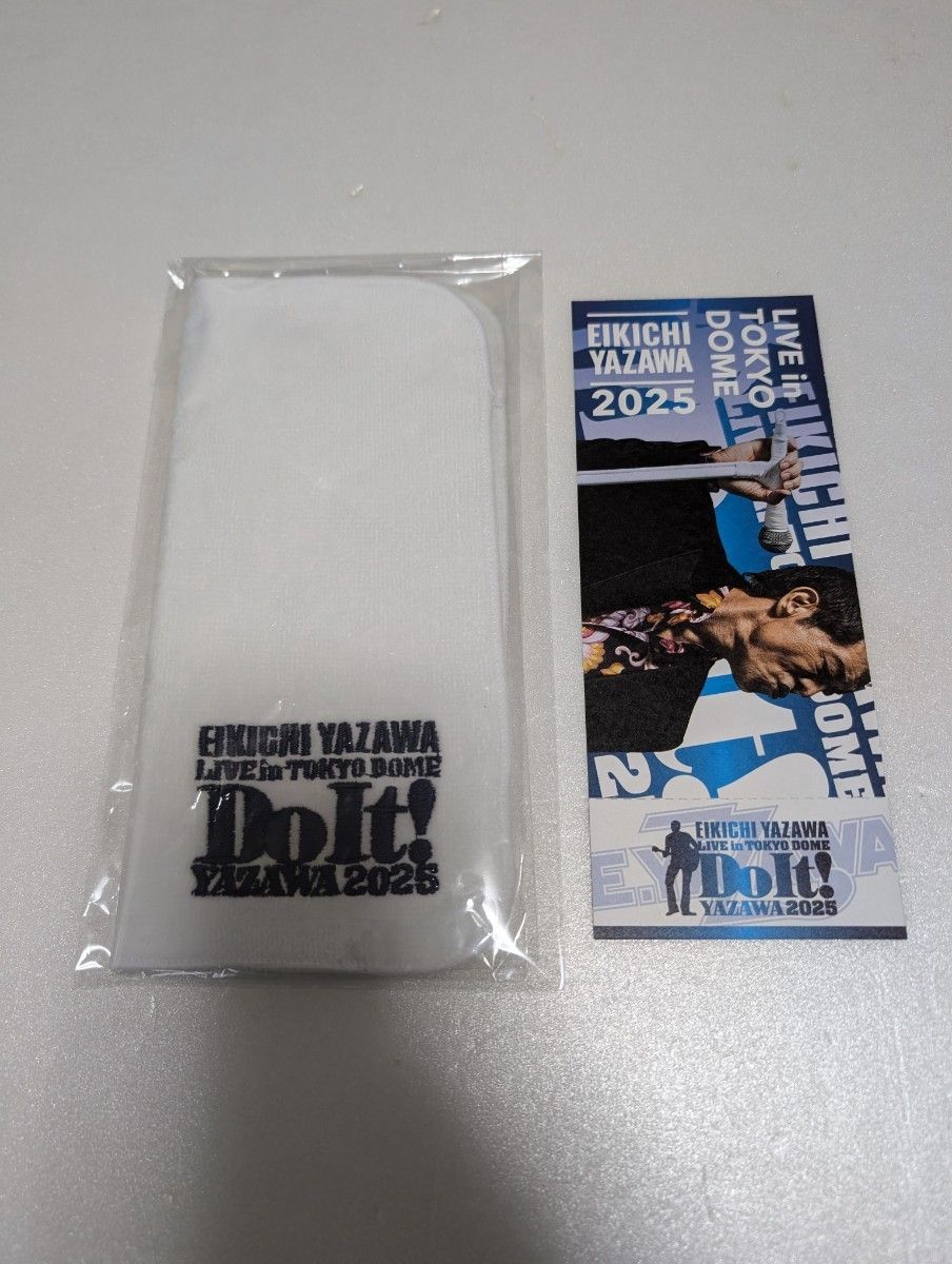 EIKECHI YAZAWA LIVE in TOKYO DOME タオル EIKECHI YAZAWA LIVE in