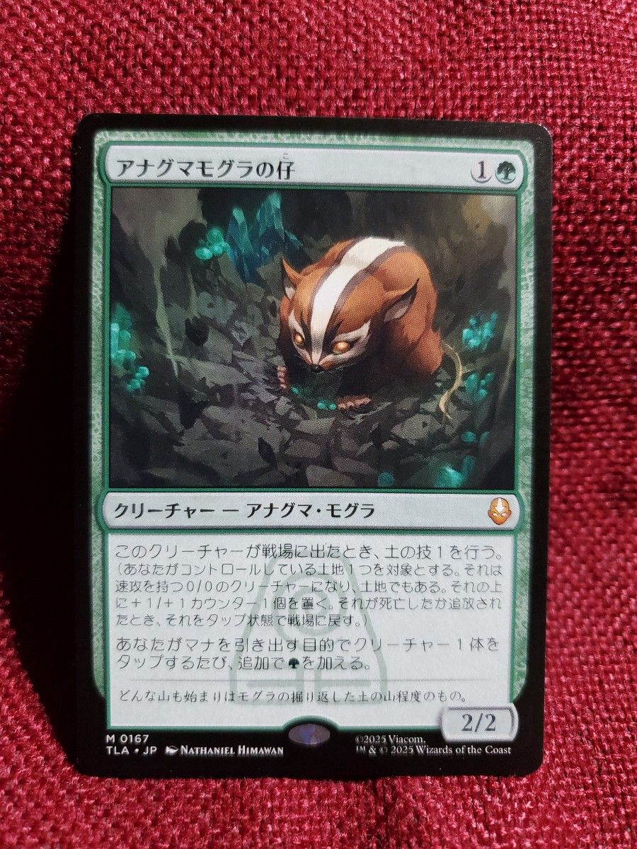 MTG アナグマモグラの仔/Badgermole Cub 英語版 FOIL] アナグマモグラ