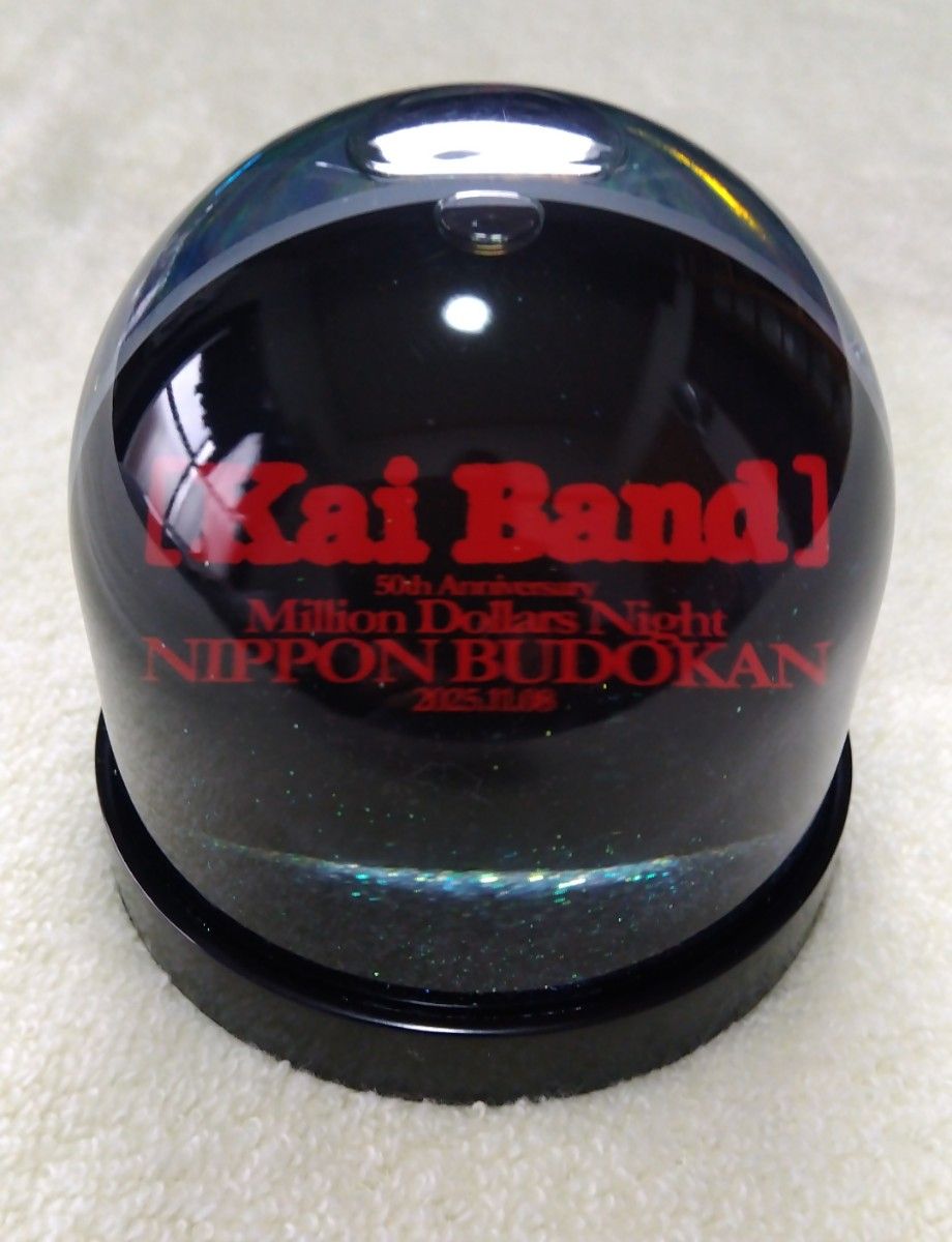 甲斐バンド グッズ 50周年記念 日本武道館ライブ スペシャルVIP席限定