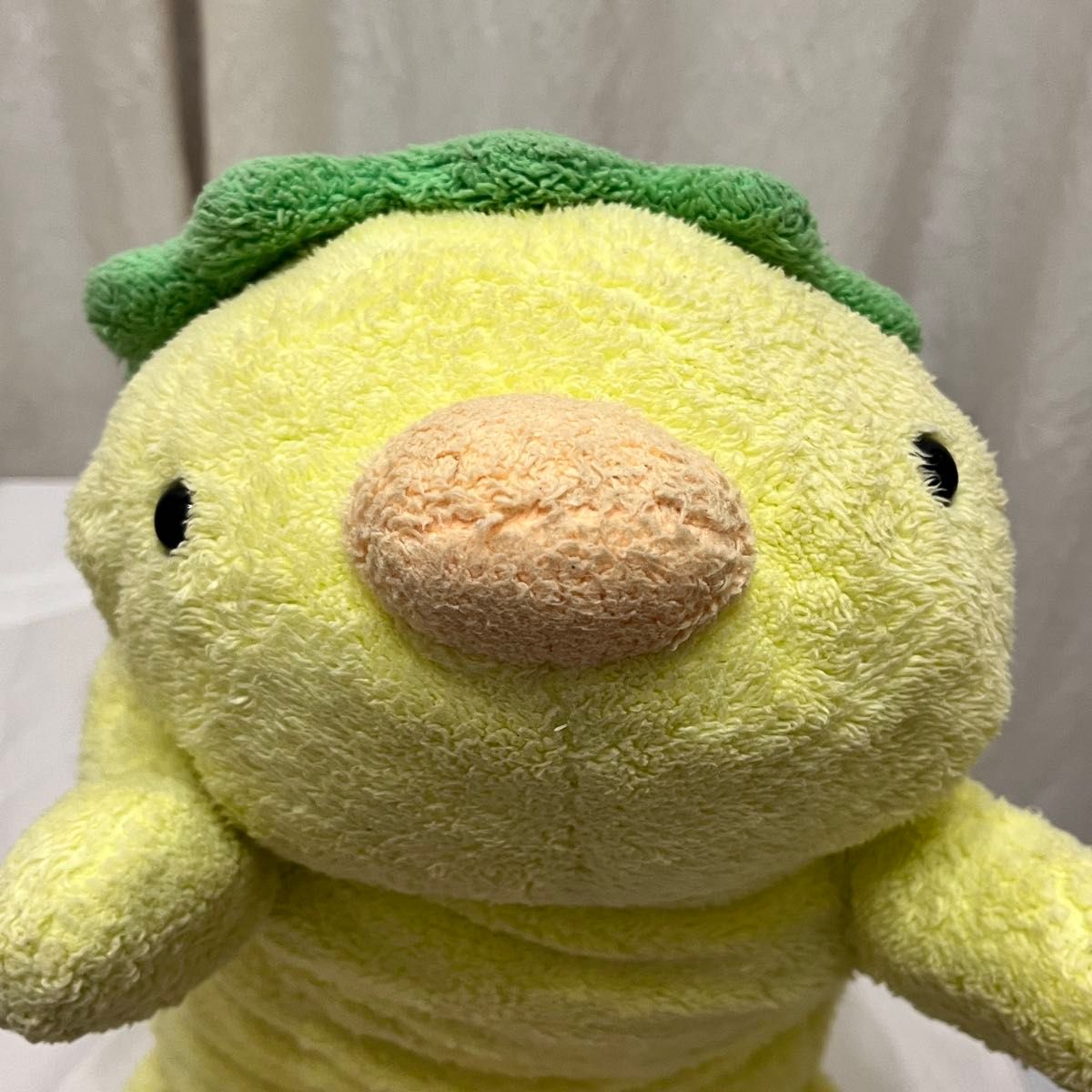 フリッカ（ましゅまろせらぴ）かっぱ 2025年最新】ましゅまろせらぴの