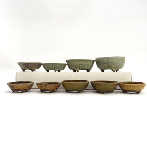 ☆ 天竜石仙 盆栽鉢 9点セット 園芸 セット売り (0220540554)