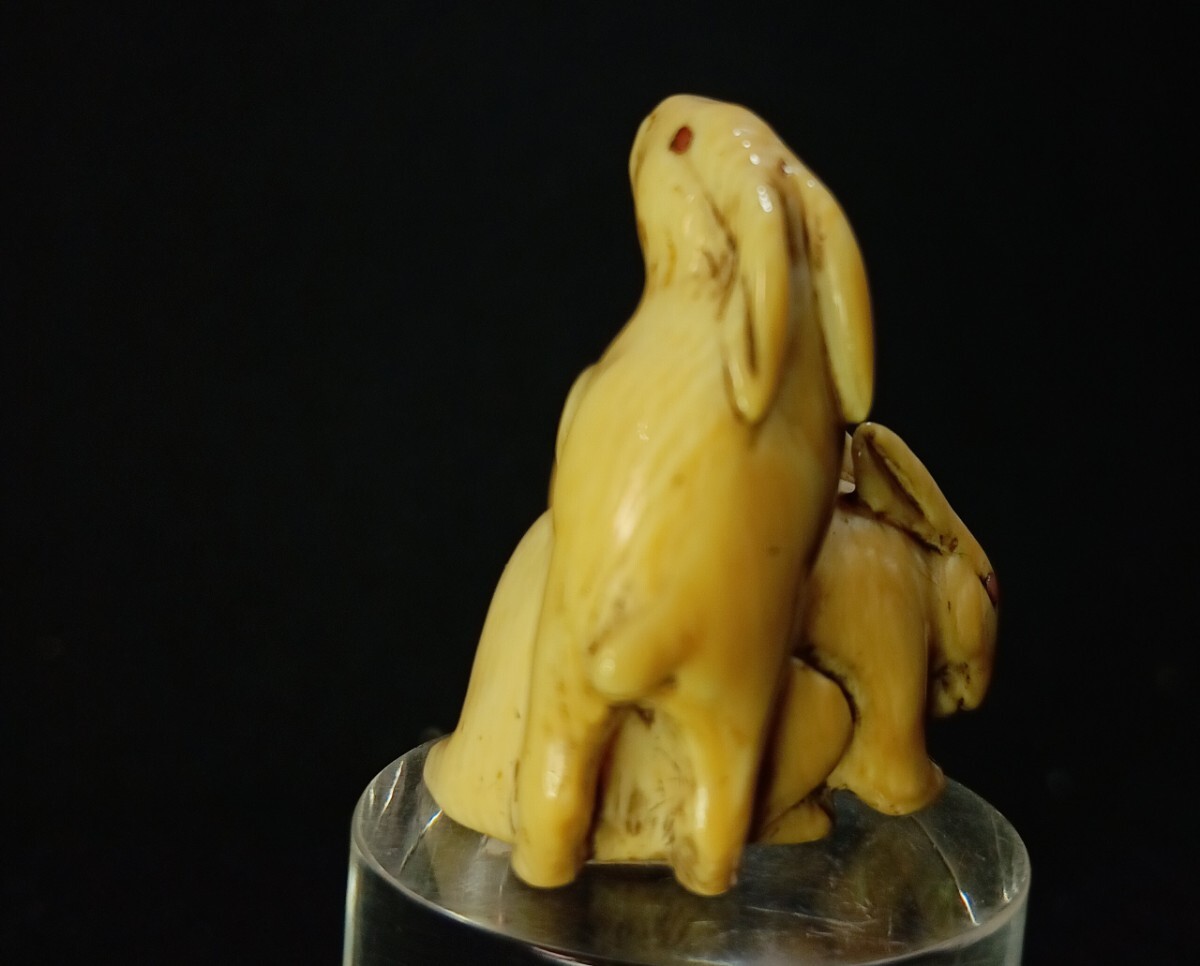 江戸時代 根付 「夫婦うさぎ 図」 無銘だが名品