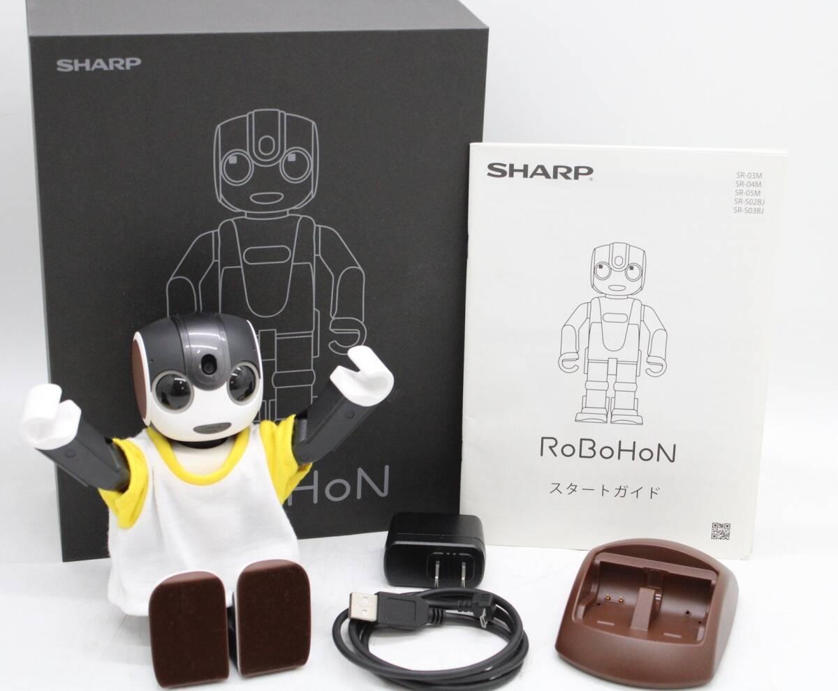 Direct Action リガーベルト WARHAWK レスキュー ガン ベルト