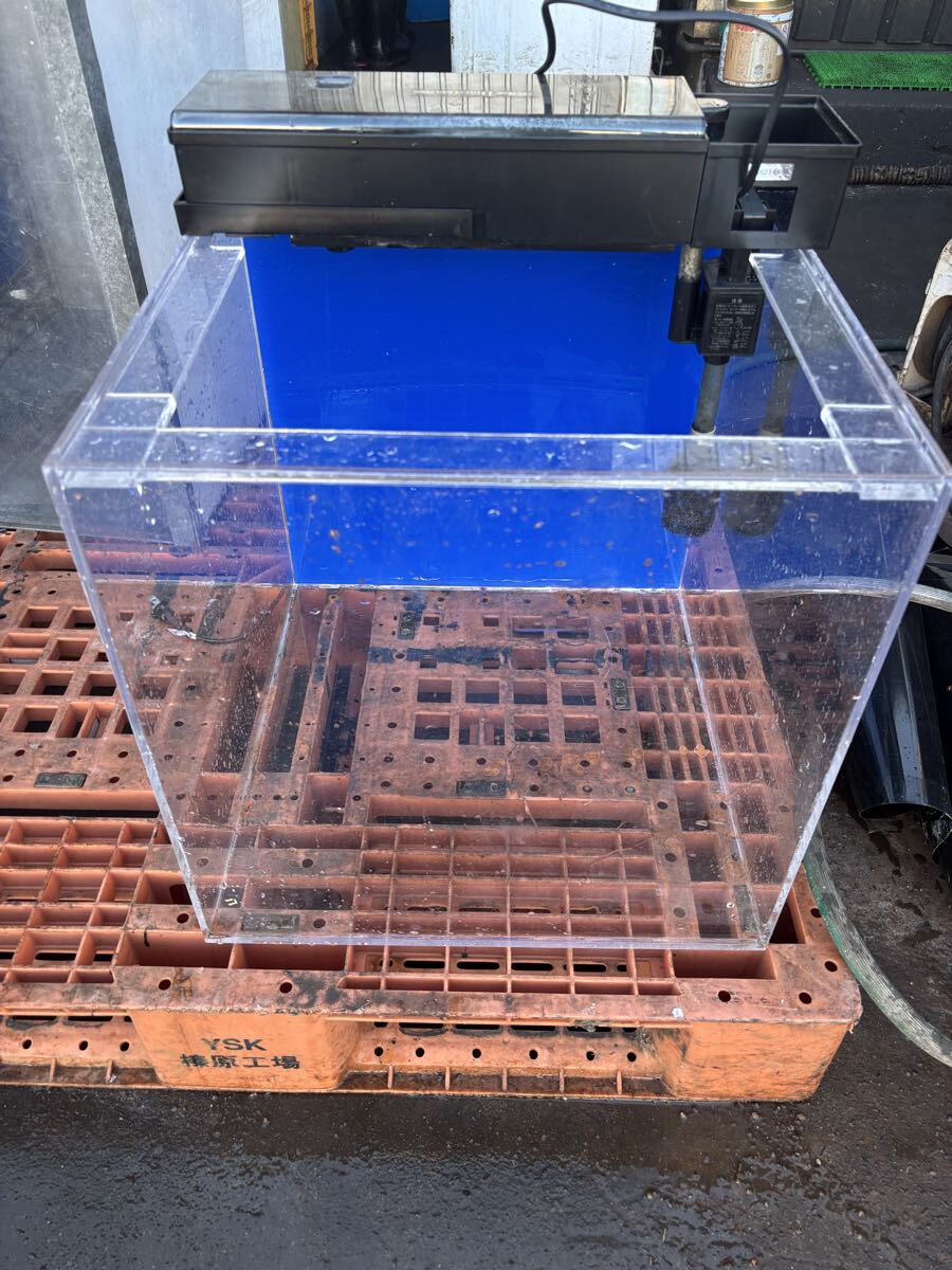 アクリル水槽 450 450 450 発送可能 キューブ水槽 海水魚 クラゲ 1