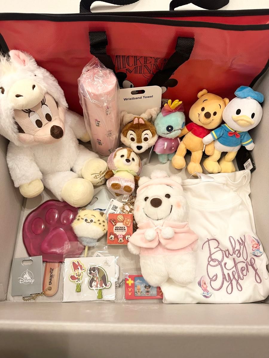 ディズニーストア 福袋 2026 ミニー ぬいぐるみ ステンレスボトル