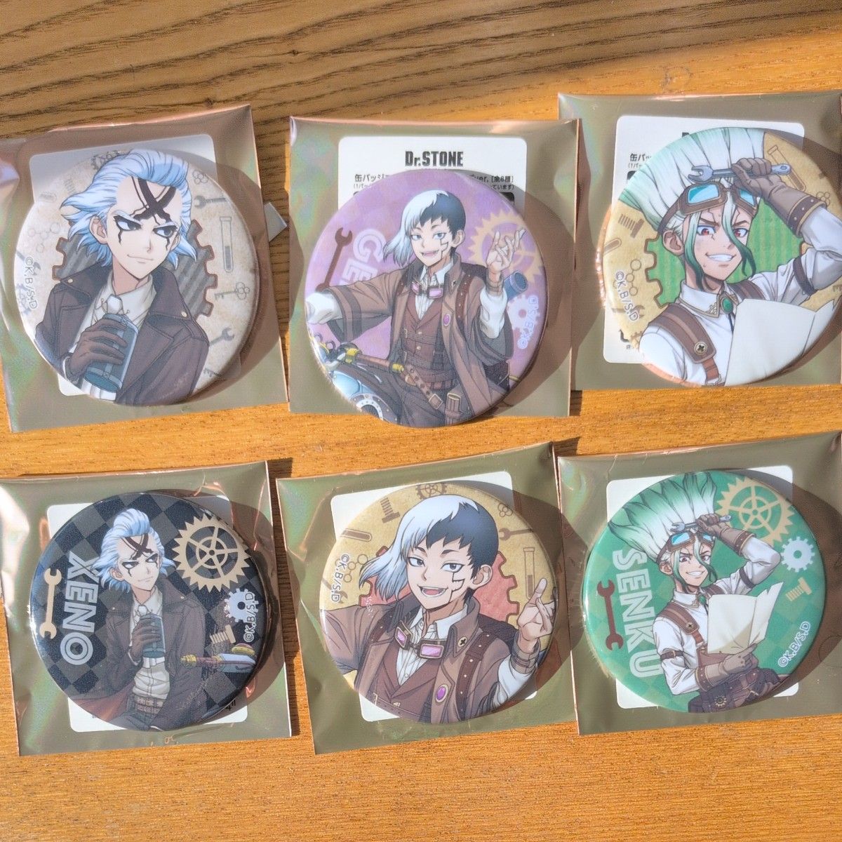 Dr.STONE トムス ゲン 缶バッジ カード ドクスト ツーリング 特典付き