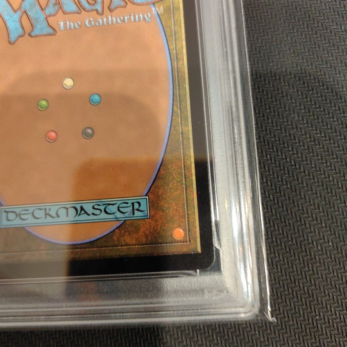 PSA10 MTG ニコル、ボーラス 拡張 Foil ボーダーレス 日本語 PSA10 MTG