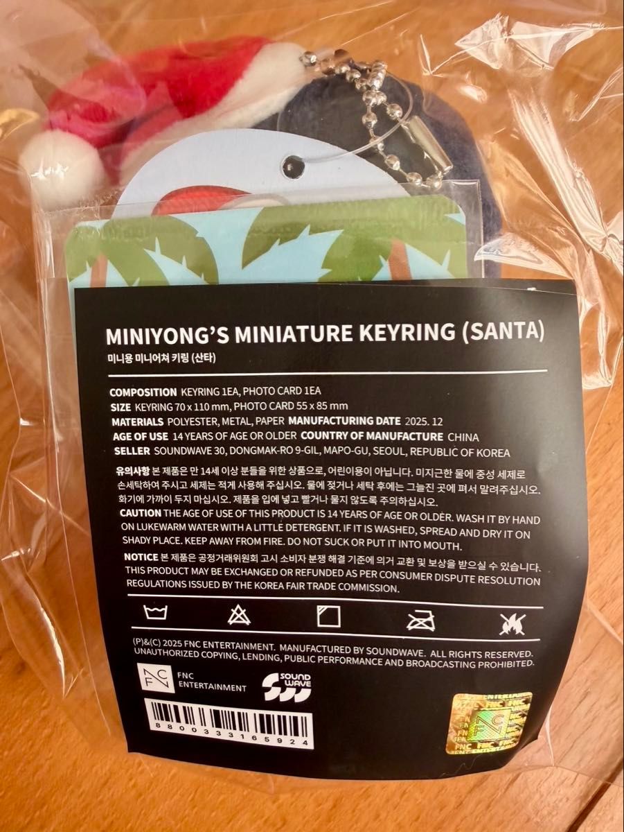 CNBLUE ジョン・ヨンファ ミニヨンキーリング サンタ ぬいぐるみ