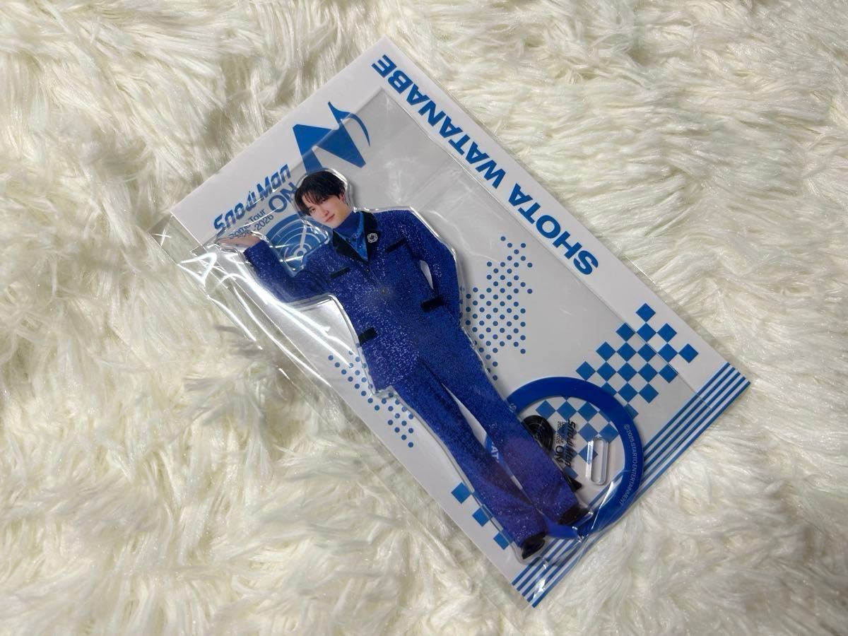 本日限定価格 SnowMan スノーマン ON ツアーグッズ しょっぴー 渡辺