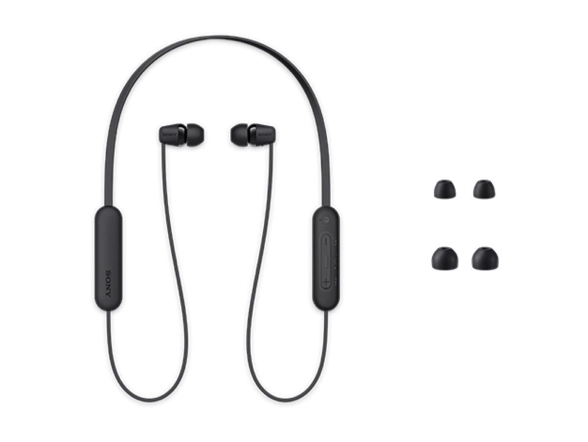 SAKAさまBOSE Revolve スマートスピーカー silver360度